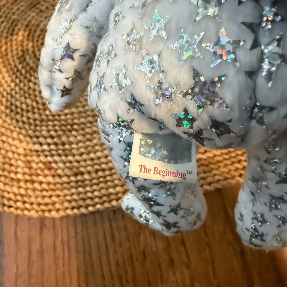 Ty Beanie Baby The Beginning Bear 2000 MWMT w/ Hard Display Case